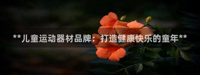 意昂体育3平台注册要钱吗安全吗：**儿童运动器材品牌