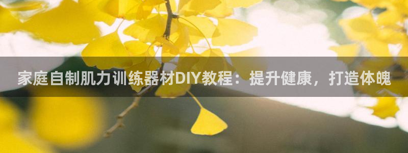 意昂3娱乐网站：家庭自制肌力训练器材DIY教程：提升