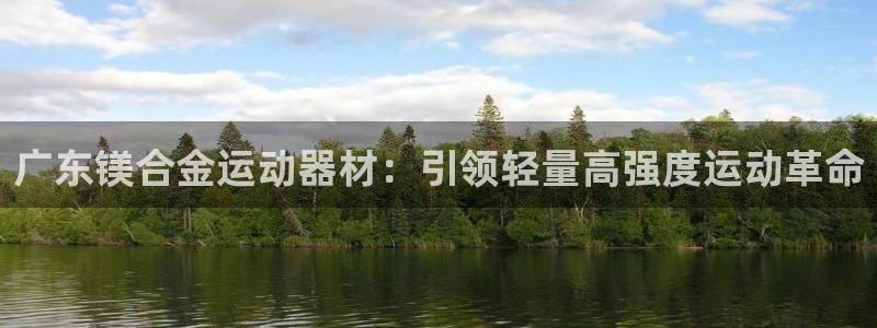意昂体育3官方客服电话：广东镁合金运动器材：引领轻量