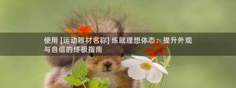 海南意昂体育3：使用 [运动器材名称] 练就理想体态