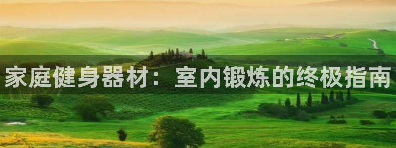意昂3新能源：家庭健身器材：室内锻炼的终极指南