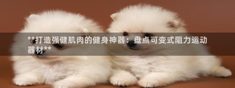 意昂3娱乐40996：**打造强健肌肉的健身神器：盘