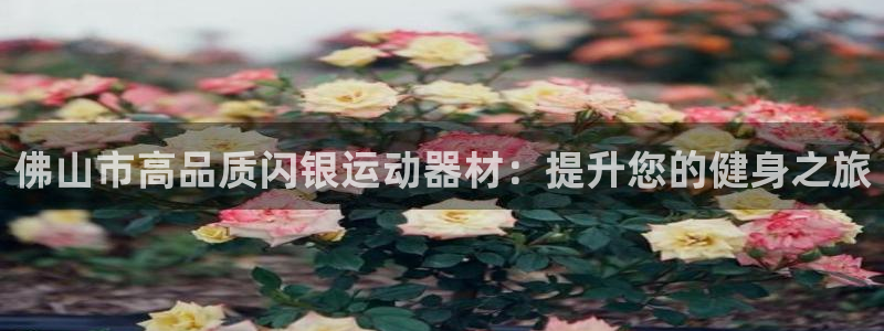 意昂体育3平台假的吗是真的吗吗：佛山市高品质闪银运动器材：提