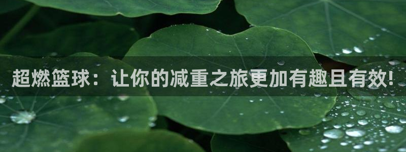 意昂体育3招商电话号码查询是多少