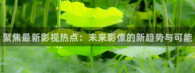三妹影院免费观看：聚焦最新影视热点：未来影像的新趋势与可能