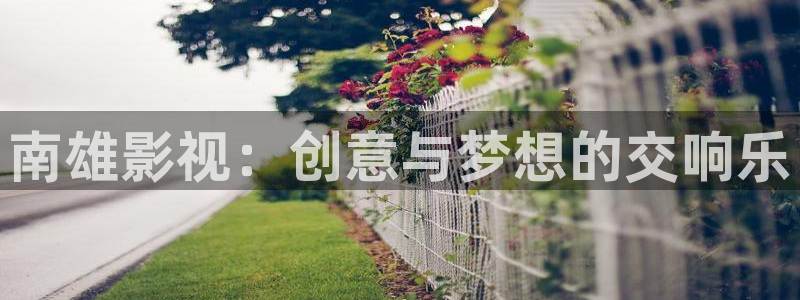 三妹影院复仇在线观看：南雄影视：创意与梦想的交响乐