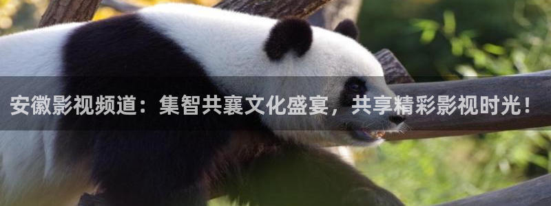 三妹影院免费观看