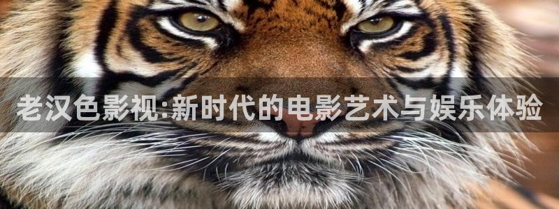 三妹影院在线