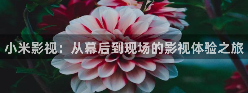 三妹影院免费